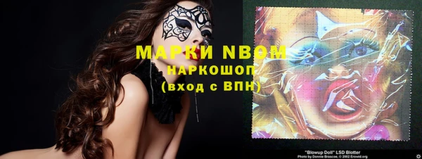мет Алексин